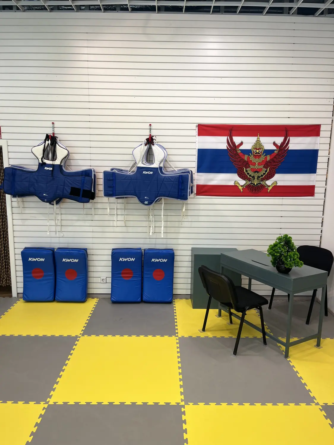 Abwehr massiver Angriffe von Defense Zone