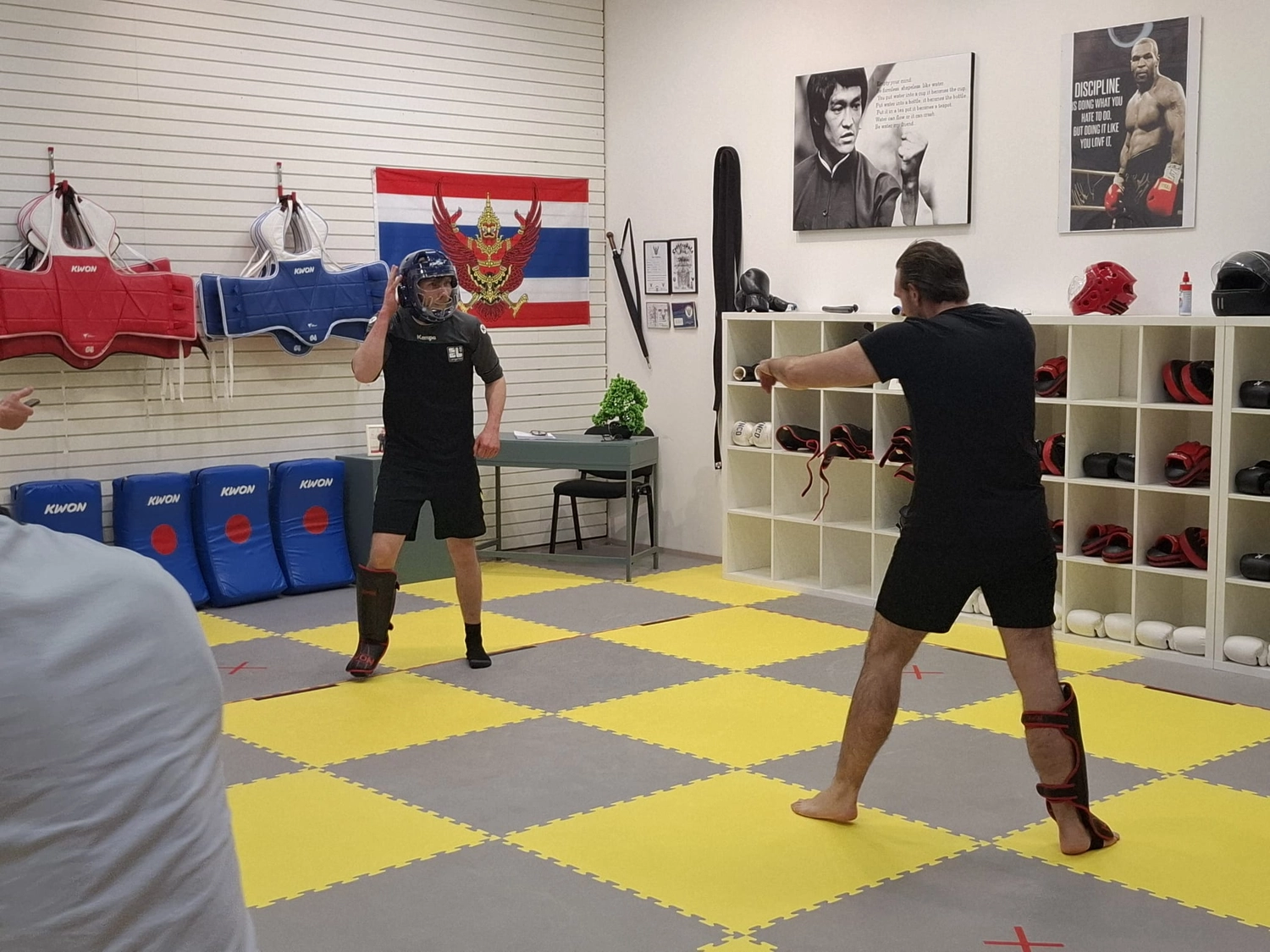 Abwehr massiver Angriffe von Defense Zone