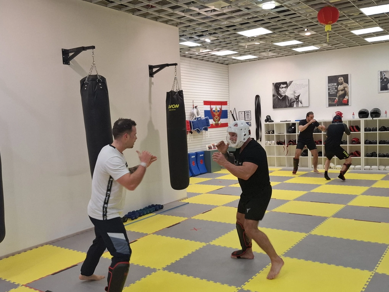 Abwehr massiver Angriffe von Defense Zone